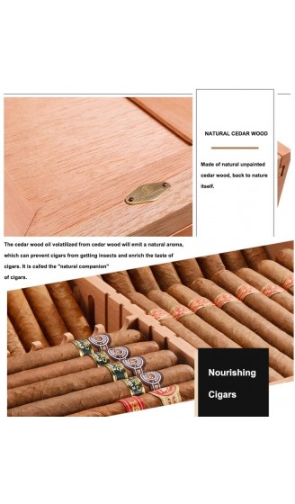 Humidor Aus Zedernholz Humidor Aus Holz Zigarrenetui Zigarrenkiste Keine Farbe Kein Öl Natürliches Zedernholz Color : Wood Color S : 33.5x21x12cm - B09Y9CBZBTH