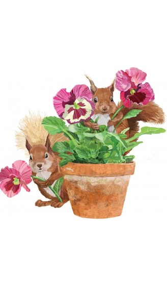Set mit 3 Paketen Blumentopfservietten Hasen Eichhörnchen Chipmunks - B08TYHKYYK2