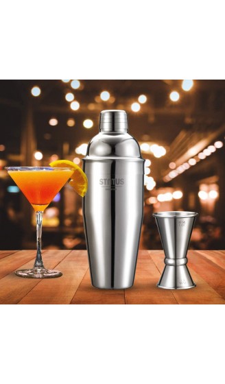 Cocktail Shaker 2-teiliges - B088NK9VSFG