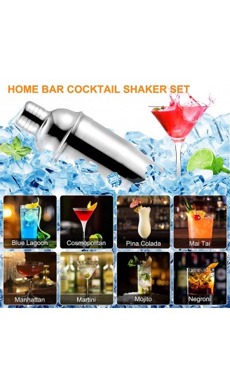 CyanCloud Cocktail-Shaker-Set Barkeeper-Set 10-teilig für Zuhause und Bar Edelstahl-Cocktail-Set mit Ständer 750 ml Cocktail-Shaker-Set mit Rezeptenbroschüre - B08RNKLM12Z