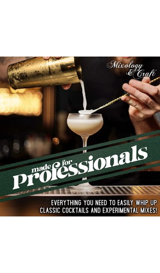 Mixology Barkeeper-Kit: 10-teiliges Bar-Set mit stilvollem Mahagoni-Ständer | perfektes Barkeeper-Set mit Bar-Tools und Martini-Shaker für kinderleichte Getränke Mixen Gold - B07P9RPJQQH