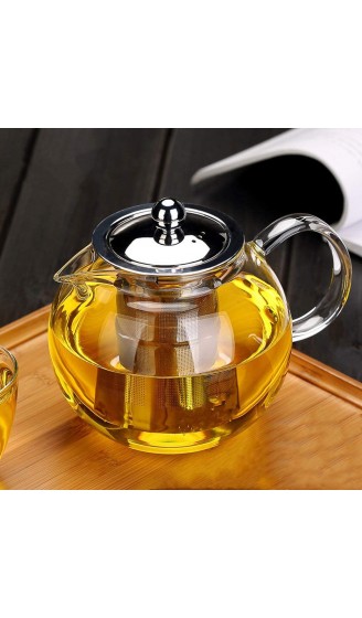 Transparente Glas-Teekanne Glas-Teekanne mit herausnehmbarem Teesieb sicherer Wasserkocher Blooming und lose Teeblätter 650 ml - B07ZR7LHFQ9