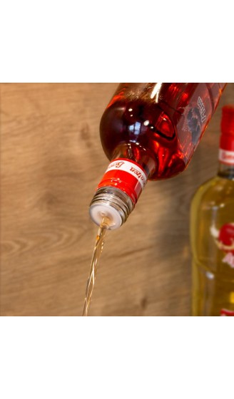Cap-On Verschließbarer Flaschen-Ausgießer 10 Stück für Spirituosen Schnaps UVM. durch Wiederverschließbarkeit vorbeugend gegen Alkohol-Verdunstung Fruchtfliegen Staub etc. - B07DZDYWQ1B