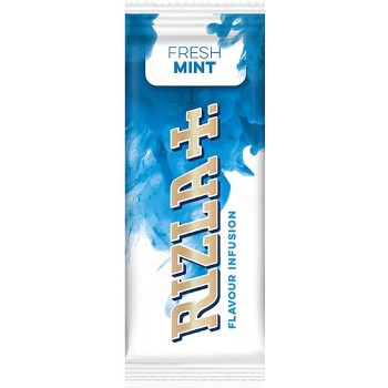 Rizla Flavour Infusions Fresh Mint Karten 25 Packungen volle Box - B089RPLTYXU